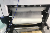 Imprimante numérique grand format DTF 60CM 2025 à solvant écologique pour film PET, avec secoueur de poudre et traceur, sans besoin de découpe, nouvelle, garantie 1 an