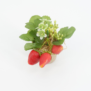 Decorativo <span class=keywords><strong>de</strong></span> frutas <span class=keywords><strong>de</strong></span> fresa <span class=keywords><strong>bonsai</strong></span> se utiliza para la boda, pared <span class=keywords><strong>de</strong></span> flores hogar Decoración <span class=keywords><strong>de</strong></span> la Oficina - Product Image 6