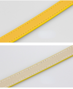 カスタムイエローリアルレザーとPu多色犬の首輪とリーシュセット - Product Image 6