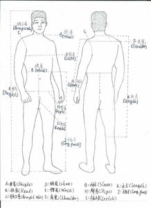 Pantaloni <span class=keywords><strong>da</strong></span> Ballo Latino di Alta Qualità per <span class=keywords><strong>Uomo</strong></span>, Pantaloni Traspiranti ed Elastici per Ballerini - Product Image 6