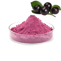 Poudre de baies d'açaï soluble dans l'eau, de qualité supérieure, naturelle, de Grherb