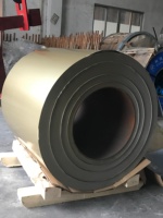 Bobine d'acier revêtue d'une couche dorée pour les panneaux d'appareils électroménagers