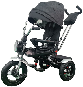 Baby Kids Tricycle 3-Wheel <strong>with</strong> Canopy Cover Plastic Frame Folding Rotating Seat <strong>Parent</strong> Push <strong>Handle</strong> <strong>Trike</strong> for 2-4 Years - Product Image 1