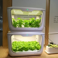 Boîte de culture hydroponique en plastique pour la maison intelligente, pour jardin et usage intérieur, design moderne, machine à planter des oignons