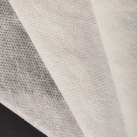 Détachez le tissu d'interlignage non-tissé de liaison chimique de stabilisateur de broderie