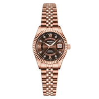 Montre élégante de luxe pour femmes NIBOSI 2720, étanche, lumineuse, avec date, en acier inoxydable, quartz