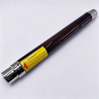 Fusible haute tension F3010853.100, fusible HRC, protection électrique pour applications industrielles