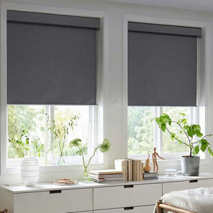 Customized Blackout Wifi Control Shades Dual Tuya Zigbee Electric <strong>Motor</strong> Window Motorized Day and Night Roller Blinds - Product Image 1