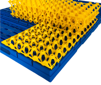 Caisses à œufs en PEHD, couleur personnalisable, 30 alvéoles, durables et recyclables, excellente protection avec fonction pliable