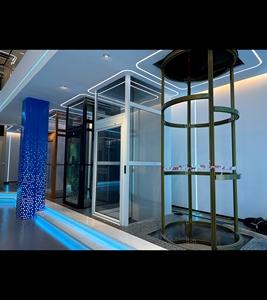 هواشيانغ - مصعد هيدروليكي للفلل السكنية، آمن وعالي الجودة، تصميم عصري للركاب، يتوفر عينات للعرض - Product Image 6