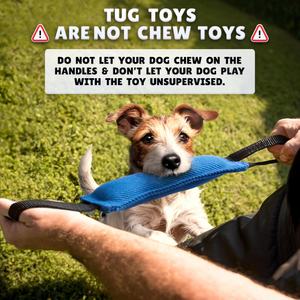 Yavru eğitim sert naylon yastık dayanıklı mavi köpek Bite römorkör çekme oyuncak W/ 2 yumuşak ve güçlü siyah Fetch için kolları - Product Image 3