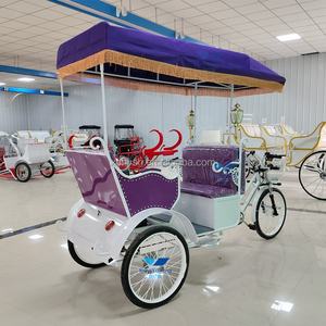 Offre Spéciale un tricycle électrique à trois roues meilleur prix tricycle électrique - Product Image 2