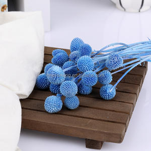 Bouquet de décoration de mariage de vraies fleurs fraîches Pycnosorus Bouquet de boules de Billy naturel préservé Boutons de Billy pour la Saint-Valentin - Product Image 3