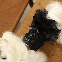 Vêtements de luxe en coton brodé de styliste pour animaux de compagnie, jupes pour chiens, robe gilet pour chiens, printemps et été