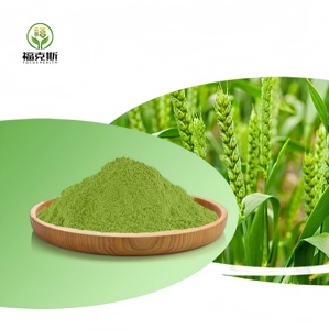 Poudre de jus d'herbe d'<span class=keywords><strong>orge</strong></span> biologique d'extrait de poudre de germe d'<span class=keywords><strong>orge</strong></span> de prix en vrac de fournisseur de superaliments verts de Chine - Product Image 1
