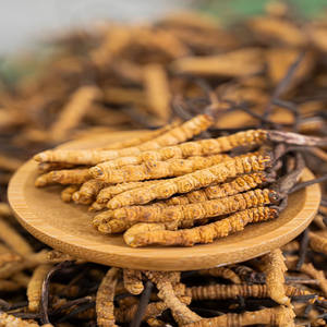 Produk ketinggian tinggi <span class=keywords><strong>Cordyceps</strong></span> Sinensis Wild <span class=keywords><strong>Cordyceps</strong></span> - Product Image 3