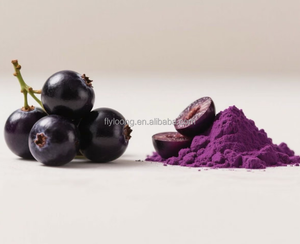 Pó de Fruta de Açaí Orgânico em Alta Venda Aditivo Alimentar Natural Puro - Product Image 5