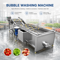 Hogedruk spuit- en luchtbellenwasmachine voor fruit en groenten, met transportband voor sla, appels en aardappelen
