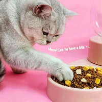 Nourriture sèche pour chats à faible teneur en matières grasses, marque privée, pour la santé des voies urinaires et la gestion du poids, aliments pour animaux en vrac, fabricant direct, OEM