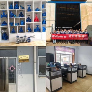 DH77X-16Q Gofret Tipi Çift Diskli Çek Valf, Su Pompaları için, Sfero Demir, Sıfır Sızıntı Geri Dönüşsüz Valf - Product Image 5