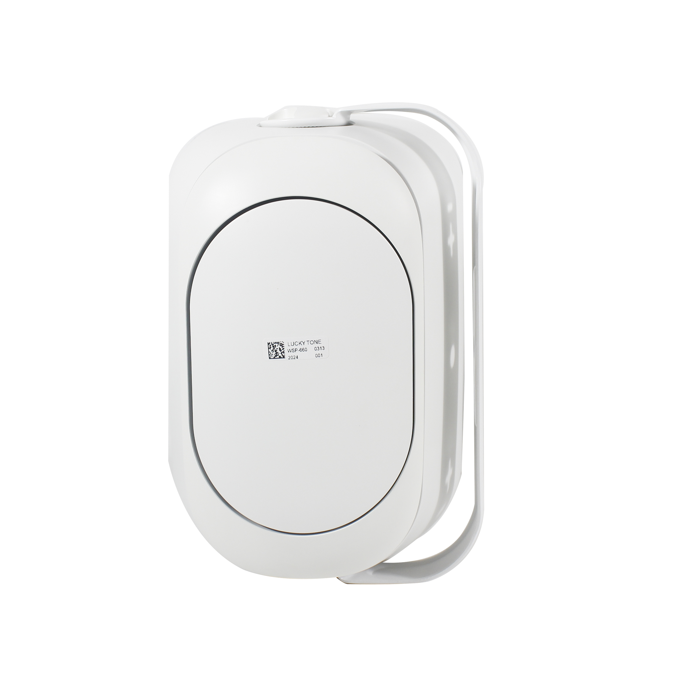 Quick Installation Stylish Design Weatherproof Audio IP66 Wall-Mounted Speaker for Resorts Pools & Outdoor Dining · image 5