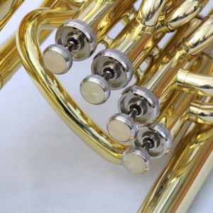 Focustyle FEU-280L BB tone vàng sơn mài 4-van <span class=keywords><strong>euphonium</strong></span> với cupronickel piston và cơ thể đồng thau giá rẻ cụ <span class=keywords><strong>euphonium</strong></span> - Product Image 3