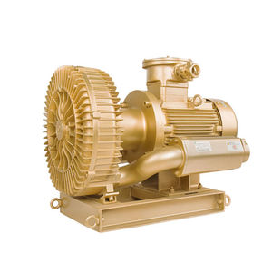 Souffleurs à canal latéral et pompes à vide antidéflagrantes approuvées <span class=keywords><strong>ATEX</strong></span> avec conversion de fréquence - Product Image 2