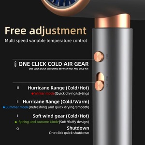 New 2000W Professional Hair Dryer Negative Ion Blow Dryer Home Hot Cold Wind Air <b>Brush</b> Hairdryer Strong <b>Power</b> Dryer Salon Tool - Product Image 5