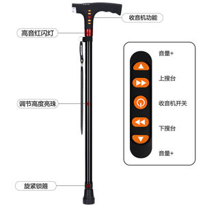 Bâton de marche télescopique en alliage d'aluminium OEM avec radio et lumière pour la randonnée et les activités de plein air - Product Image 1