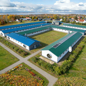 High Quality Prefab Steel Structure Poultry Farm Houses Automated Chicken Poultry House - Product Image 1