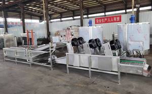 Ligne de production de lavage de prunes/prunier séché/abricot/raisins secs - Product Image 5