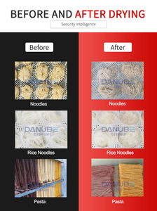 Séchoir à bande de type boîte, prix fabricant, haute efficacité, four de séchage alimentaire à bande maillée pour nouilles - Product Image 6