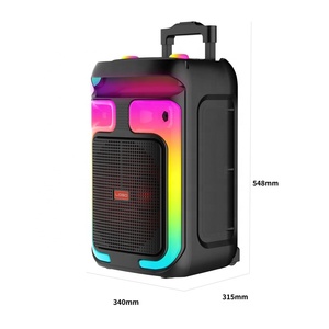 Altavoz Inalámbrico ABS-12101 de 12 Pulgadas, Alta <span class=keywords><strong>Potencia</strong></span> de 40W, <span class=keywords><strong>Amplificador</strong></span> Portátil con Luz RGB, Altavoz para Fiestas, Precio de Fábrica OEM, Precio Más Bajo - Product Image 6