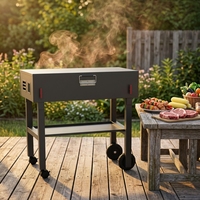 Barbecue portable pliable en acier inoxydable pour le camping en plein air, barbecue au charbon de bois