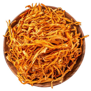 Bunga Cordyceps Emas Grosir, Bunga Cordyceps Militaris Kuning Alami, Cordyceps Kepala Macan, Jamur Cordyceps yang Dapat Dimakan, Jamur Murni - Product Image 1