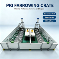 Cage de maternité galvanisée à chaud pour porcs, enclos de gestation robuste pour truies et box de maternité pour élevages porcins commerciaux