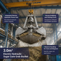 Grappin électrohydraulique pour chariot élévateur de sucre, capacité 3,0 m³, pour grue de sucre