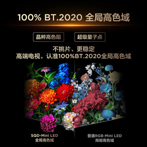 Téléviseur TCL 55Q9M <span class=keywords><strong>Pro</strong></span> 55 pouces 4K SQD-Mini LED Noir 100% Gamme de couleurs globale élevée - Product Image 3