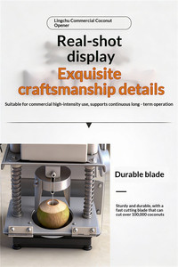 Easy Operation Manual Coconut Cutting <b>Machine</b> Desktop Stainless Steel Coconut Top Opener Punching <b>Machine</b> - Product Image 2