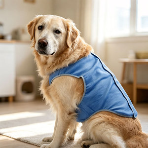Pet Dog <b>Cooling</b> Vest <b>Jacket</b> for Small Large Dogs Cats Summer Outdoor Walking Training Adjustable Pet Chest <b>Cooling</b> Vest <b>Jacket</b> - Product Image 6