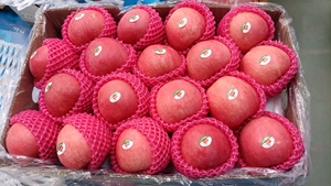Nuovo Raccolto 2026: Mele Fuji Rosse Fresche dalla Cina, Qualità Premium, Dolci e Succose, Vendita all'Ingrosso, Grado Export 80mm/85mm - Product Image 5