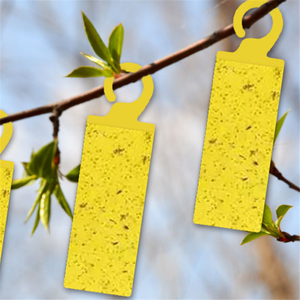 Custom OEM Yellow Sticky Fly Paper Hanging Glue Trap with <b>Hook</b> Non Toxic Safe for Fruit Flies House Flies - Product Image 2