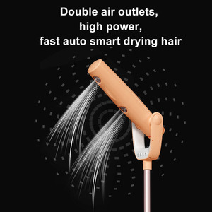 Hands <strong>Free</strong> Adjustable Vertical Household Ionic Hair <strong>Dryers</strong> Stand Leafless Professional Wireless Cordless Negative Ion Hair <strong>Dryer</strong> - Product Image 3
