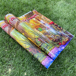 Tùy chỉnh Áp phích in ấn giấy Polyester dịch vụ A2 B2 18x24 Bìa in UV in dính không thấm nước áp phích - Product Image 5