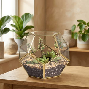 Terrario de cristal para planta, gran oferta - Product Image 3