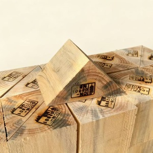 Blocs de bois de pin triangulaires 100x100x150 80x80x100 fumigés pour le renforcement du fret en conteneurs - Product Image 2