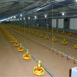 Poulailler préfabriqué moderne et économique avec isolation thermique et protection incendie pour 10 000 poulets - Product Image 5