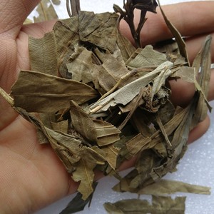 1kg di <span class=keywords><strong>Foglie</strong></span> di Oleandro <span class=keywords><strong>Gialle</strong></span> Essiccate Grezze per Piante e Arbusti in Vendita - Product Image 2