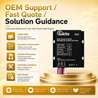 Contrôleur solaire Sukite Consistent PWM 3238 3.2V 40W 20A avec capteur de lumière intégré pour projet d'éclairage public extérieur