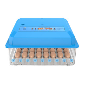 <span class=keywords><strong>Incubateur</strong></span> d'Œufs Mini Automatique à Taux d'Éclosion Élevé de <span class=keywords><strong>56</strong></span> Œufs - Product Image 4